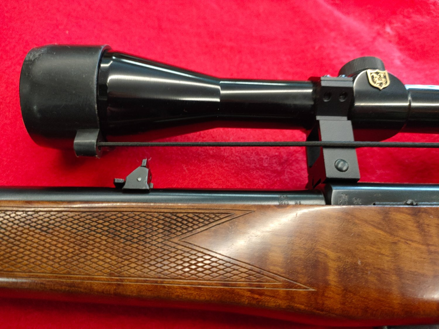  BRNO CZ 511 Semi-Auto .22 Long Rifle (.22 LR) Rifle