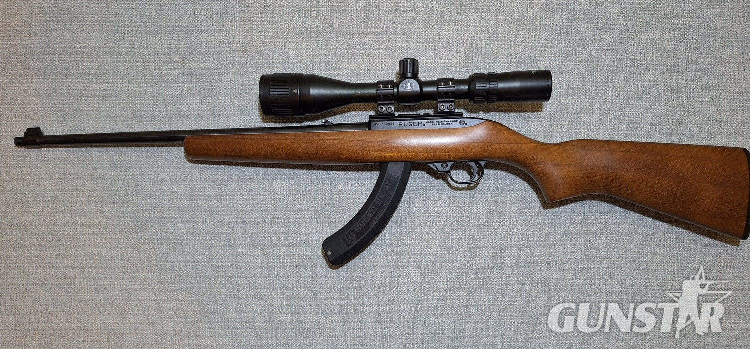 Ruger 10/22 Semi-Auto .22 Long Rifle (.22 LR) Rifle in 