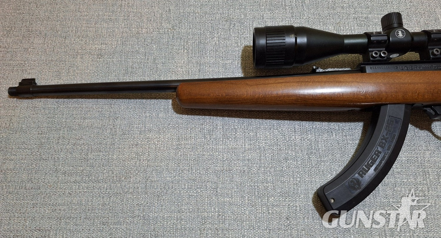  Ruger 10/22 Semi-Auto .22 Long Rifle (.22 LR) Rifle