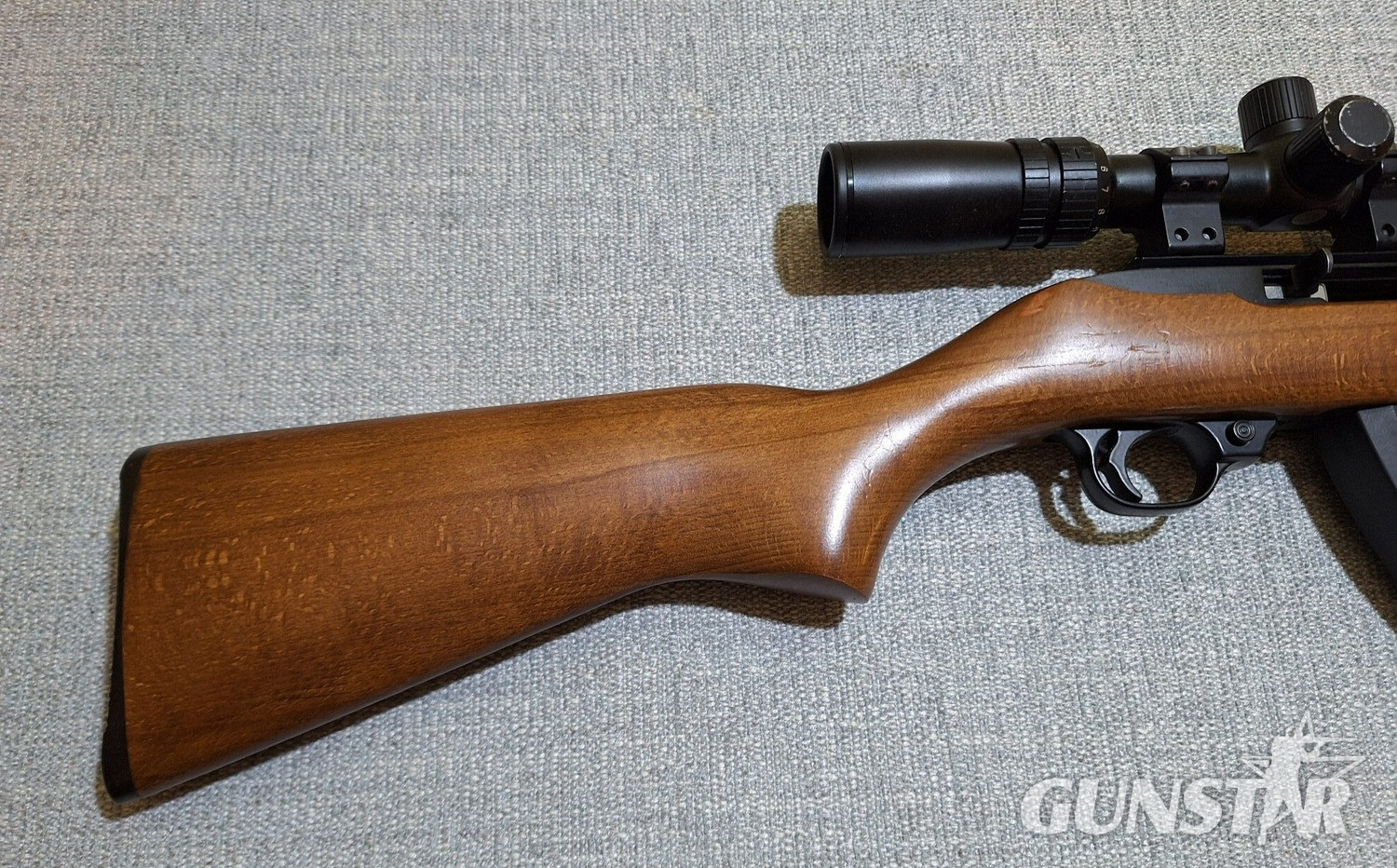 Ruger 10/22 Semi-Auto .22 Long Rifle (.22 LR) Rifle 
