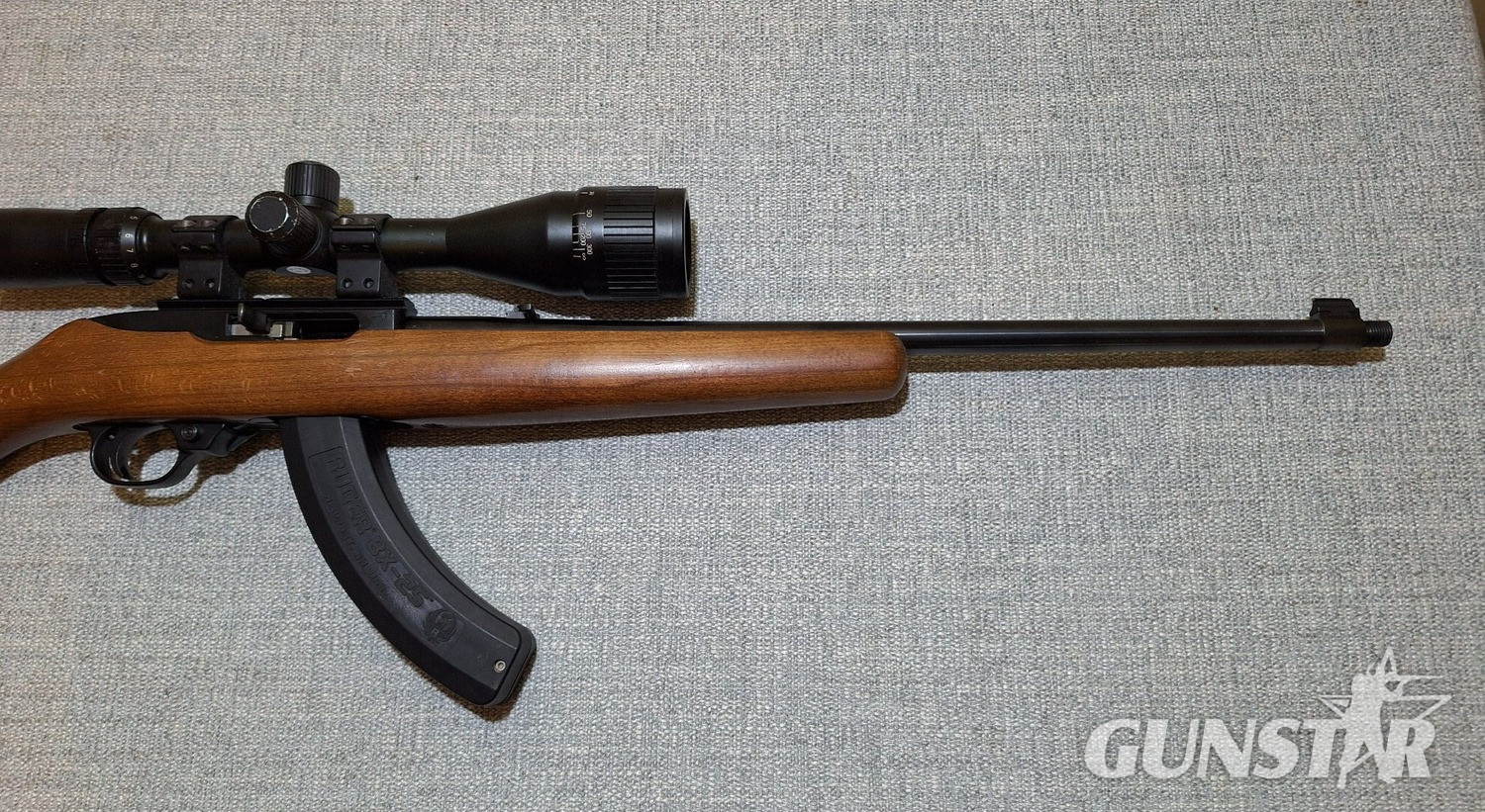 {CATEGORY} - Ruger 10/22 Semi-Auto .22 Long Rifle (.22 LR) Rifle in 