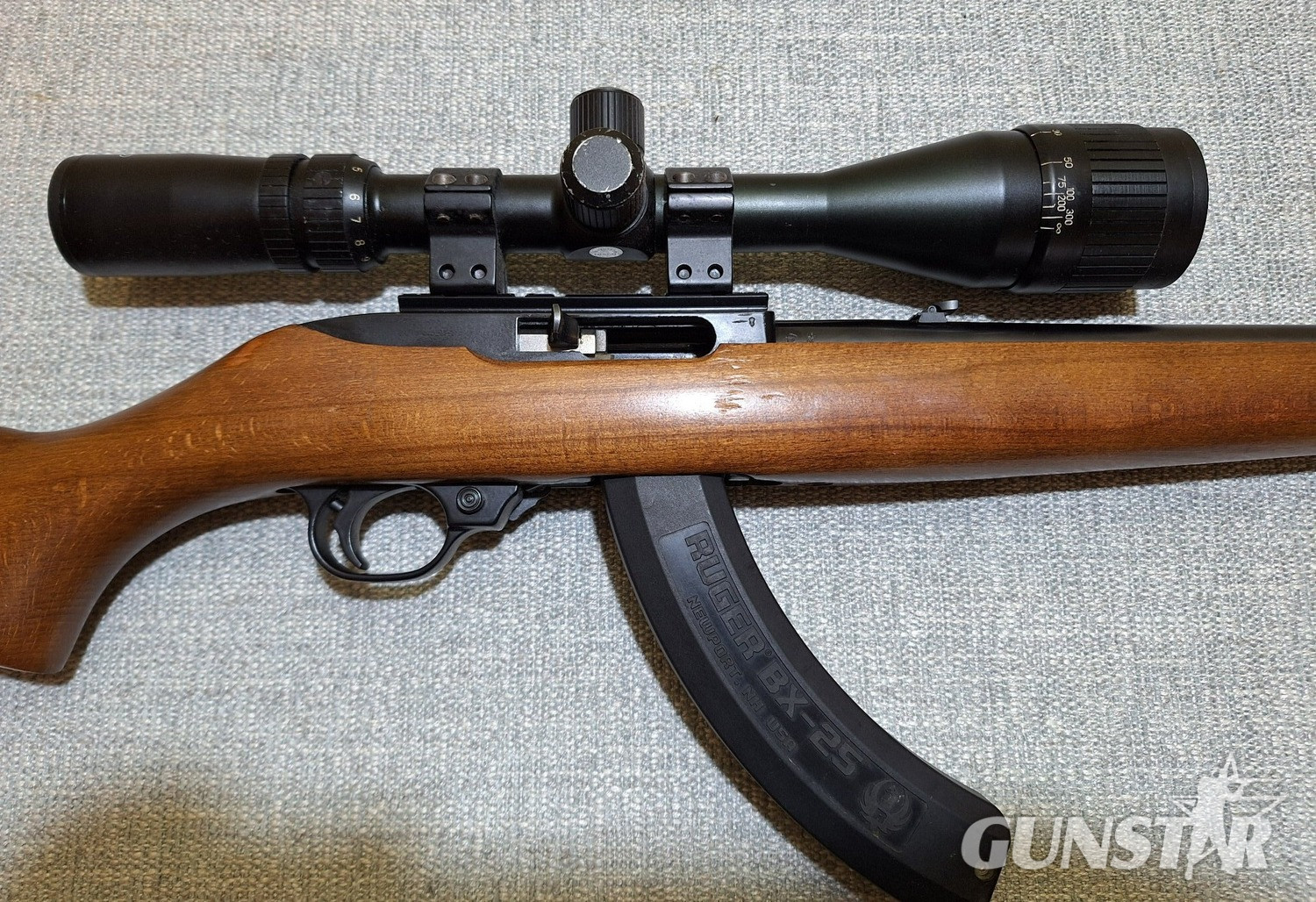 {CATEGORY} - Ruger 10/22 Semi-Auto .22 Long Rifle (.22 LR) Rifle