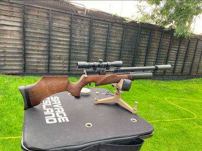 BSA R10 .22