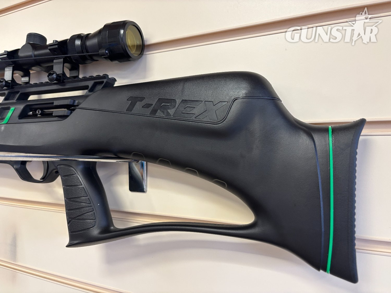 Remington T-Rex .22