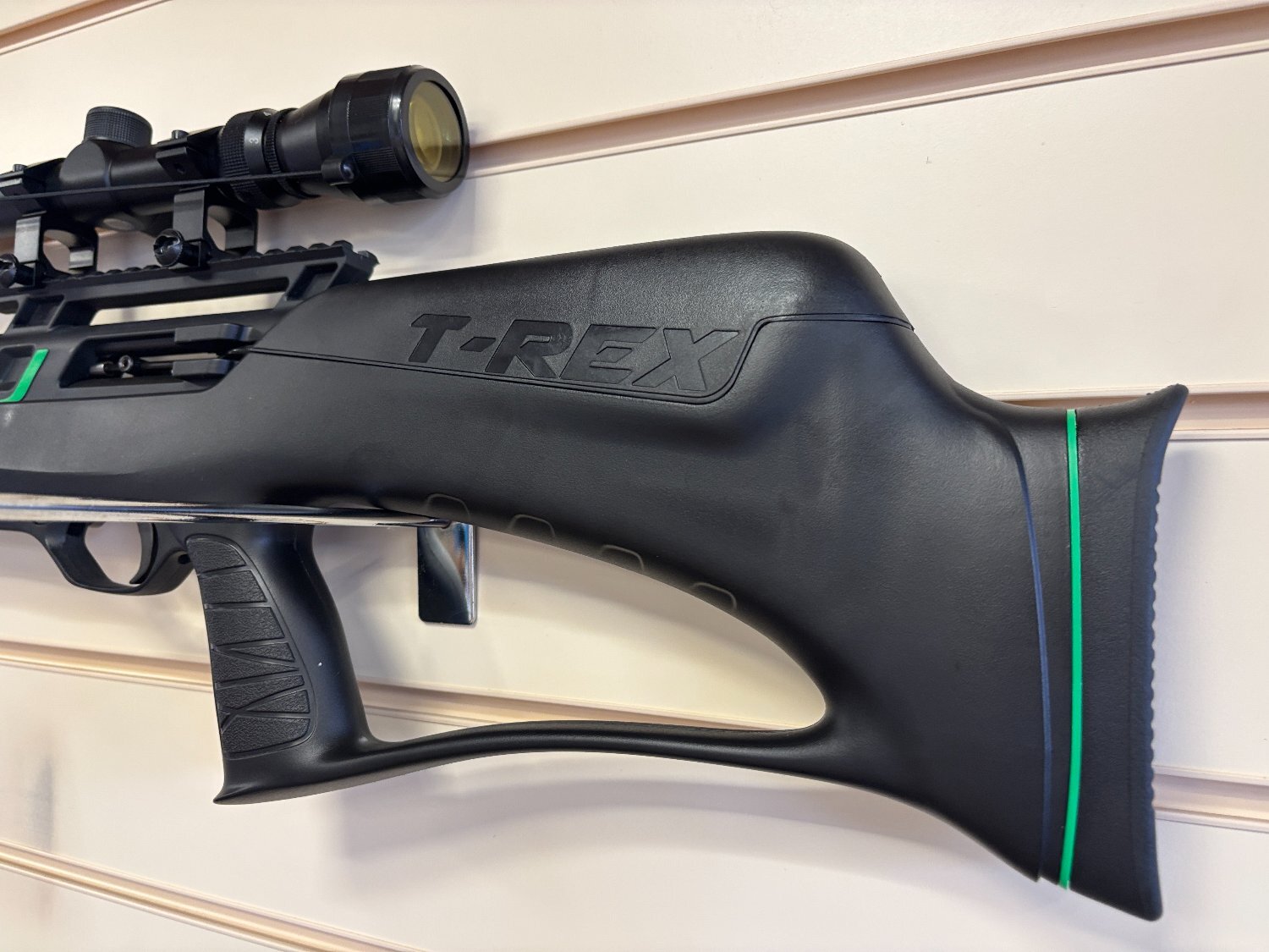 Remington T-Rex .22