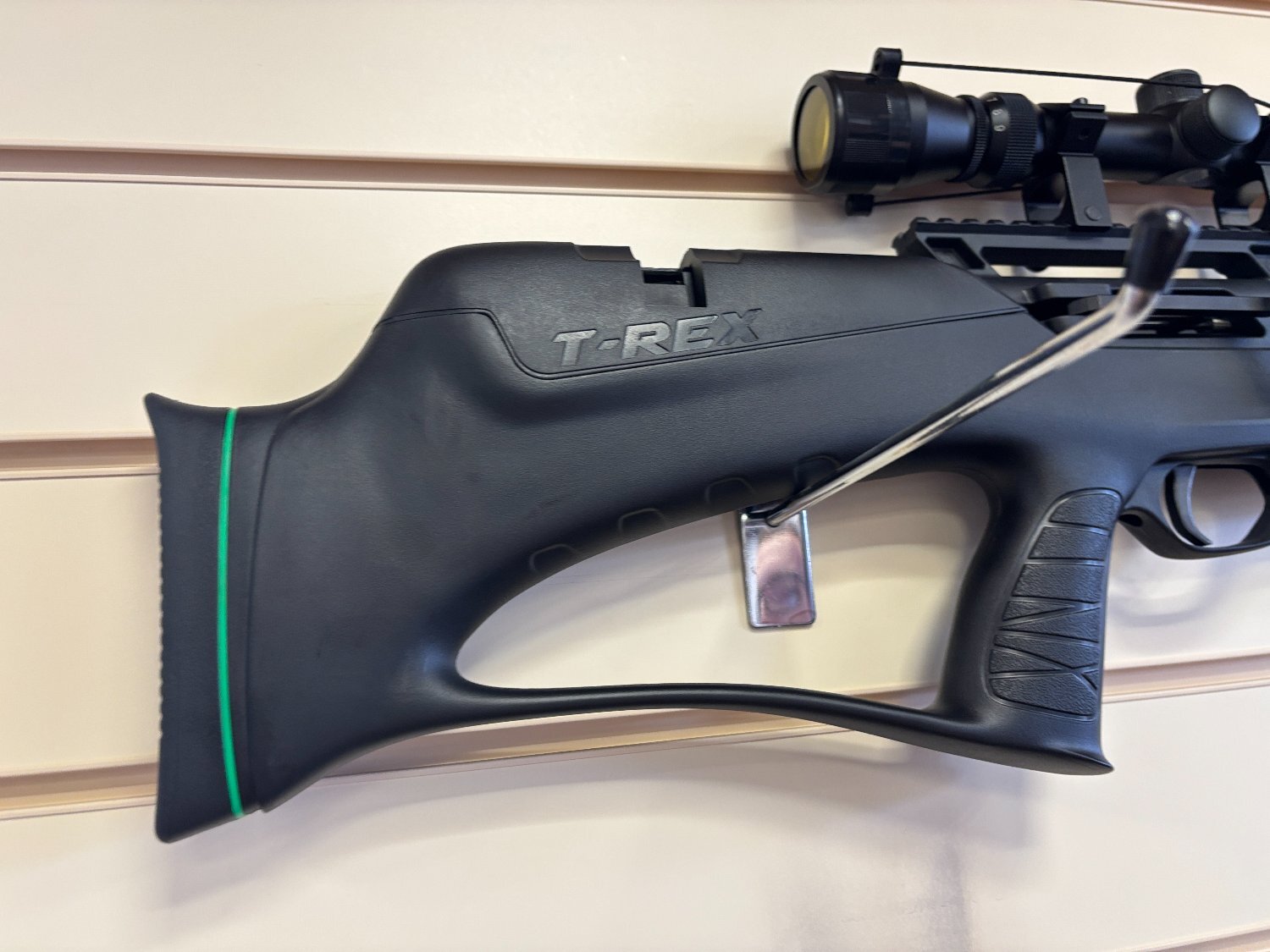 {CATEGORY} - Remington T-Rex .22 in 