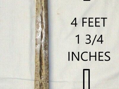 Original Victorian Era Indian Pata Gauntlet Long Sword. Sn 22752 Sword