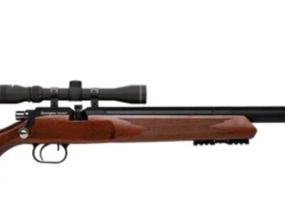 Remington Vought .22