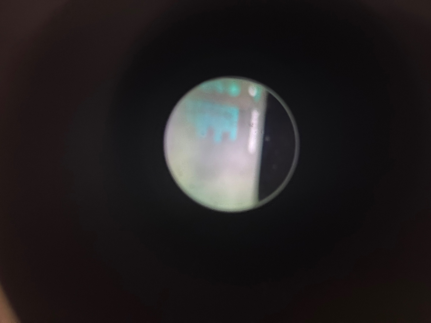  Sight & Optic