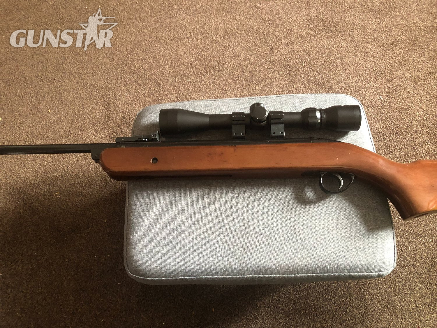 BSA Mercury .22