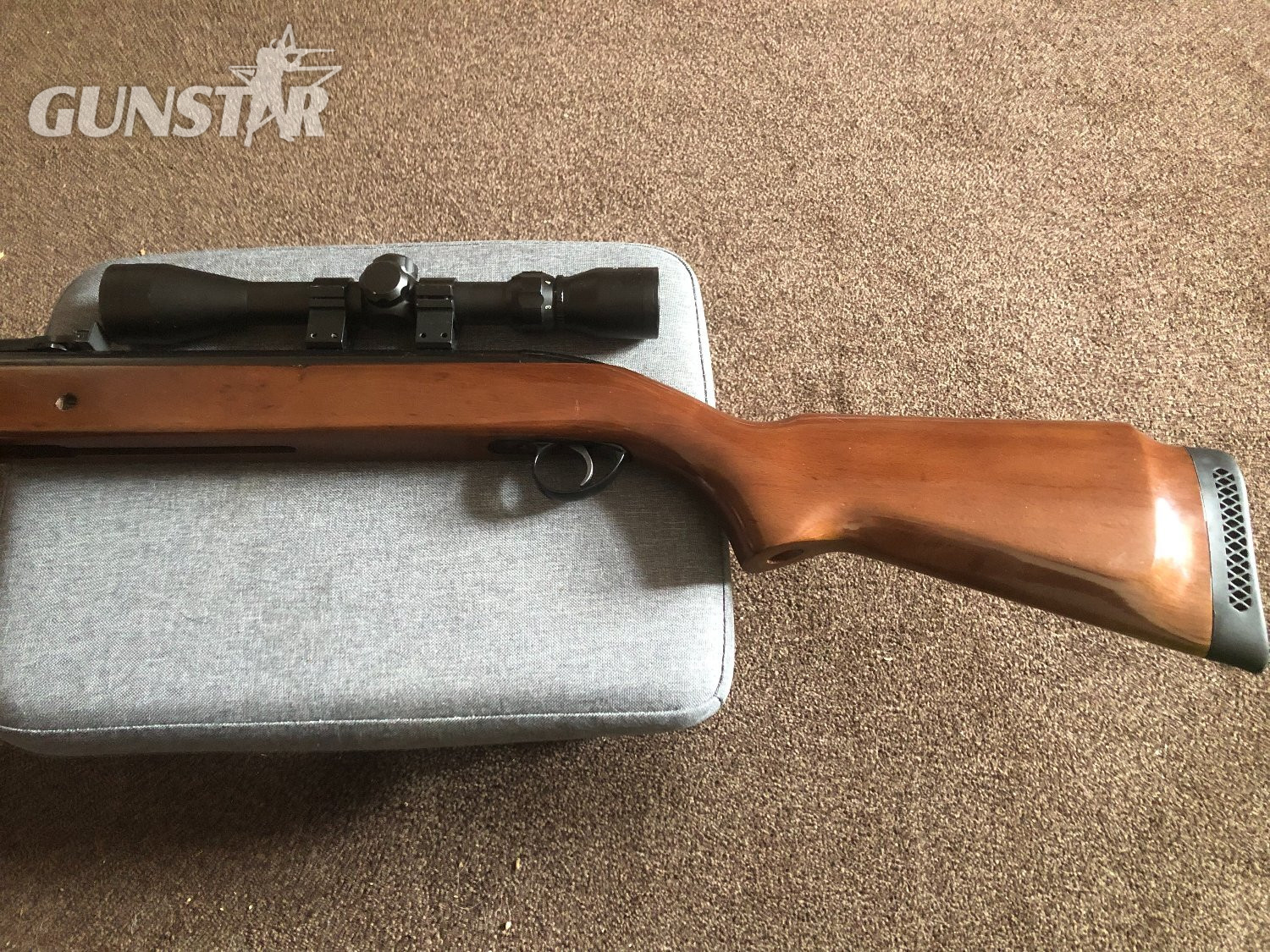  BSA Mercury .22