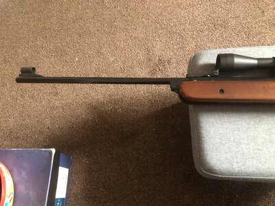 BSA Mercury .22
