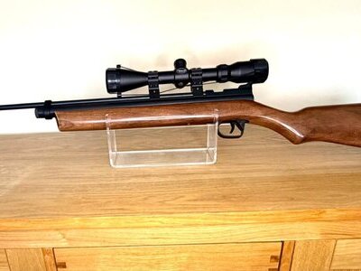 Crosman 2260 Rabitt Stopper .22