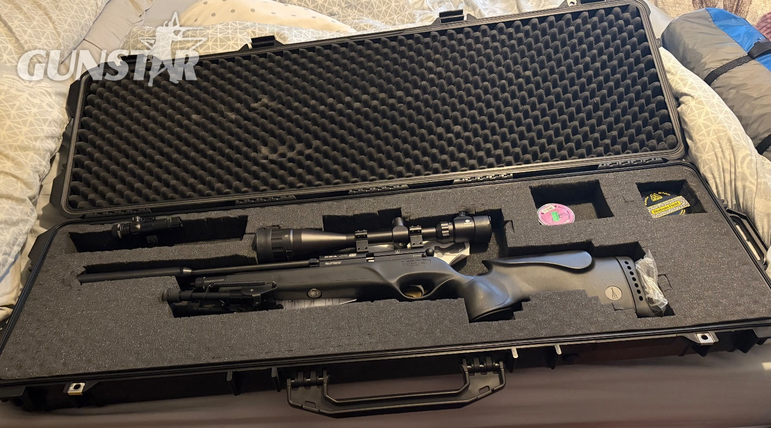 BSA Ultra SE .22