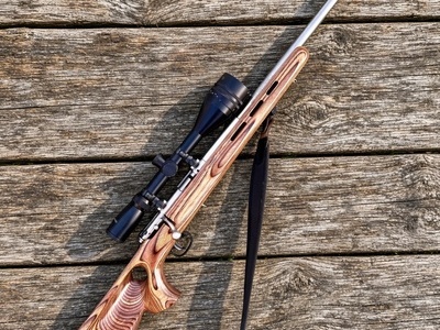 Savage Arms 93 R17 Bolt Action .17 Hornady Magnum Rimfire (.17 HMR) Rifle