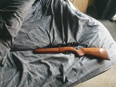 Weihrauch HW99 .22
