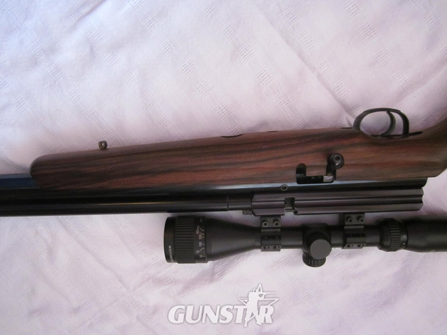 {CATEGORY} - Webley / Webley & Scott Raider 10  .22 in 