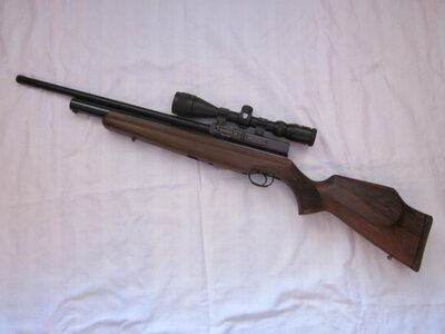 Webley / Webley & Scott Raider 10  .22