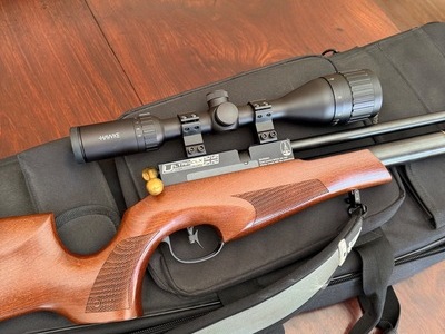 BSA Ultra CLX .22