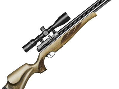 Air Arms S510 .22