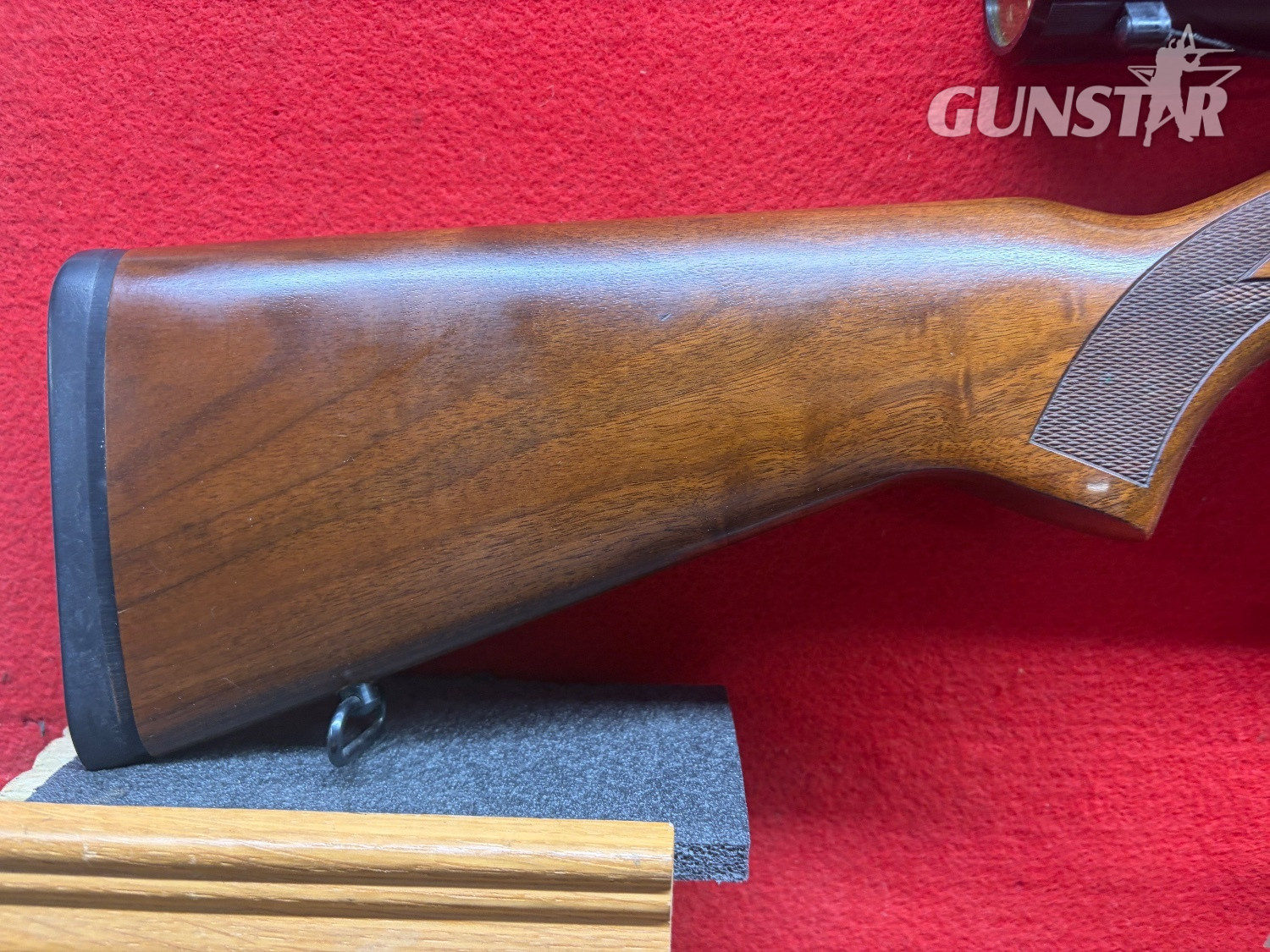 Ruger 10/22 Semi-Auto .22 Long Rifle (.22 LR) Rifle in 