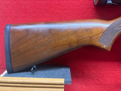Ruger 10/22 Semi-Auto .22 Long Rifle (.22 LR) Rifle