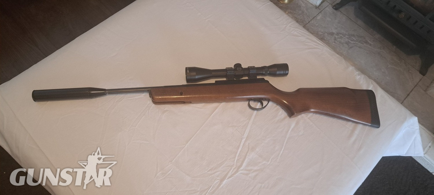 BSA Supersport .22 in 