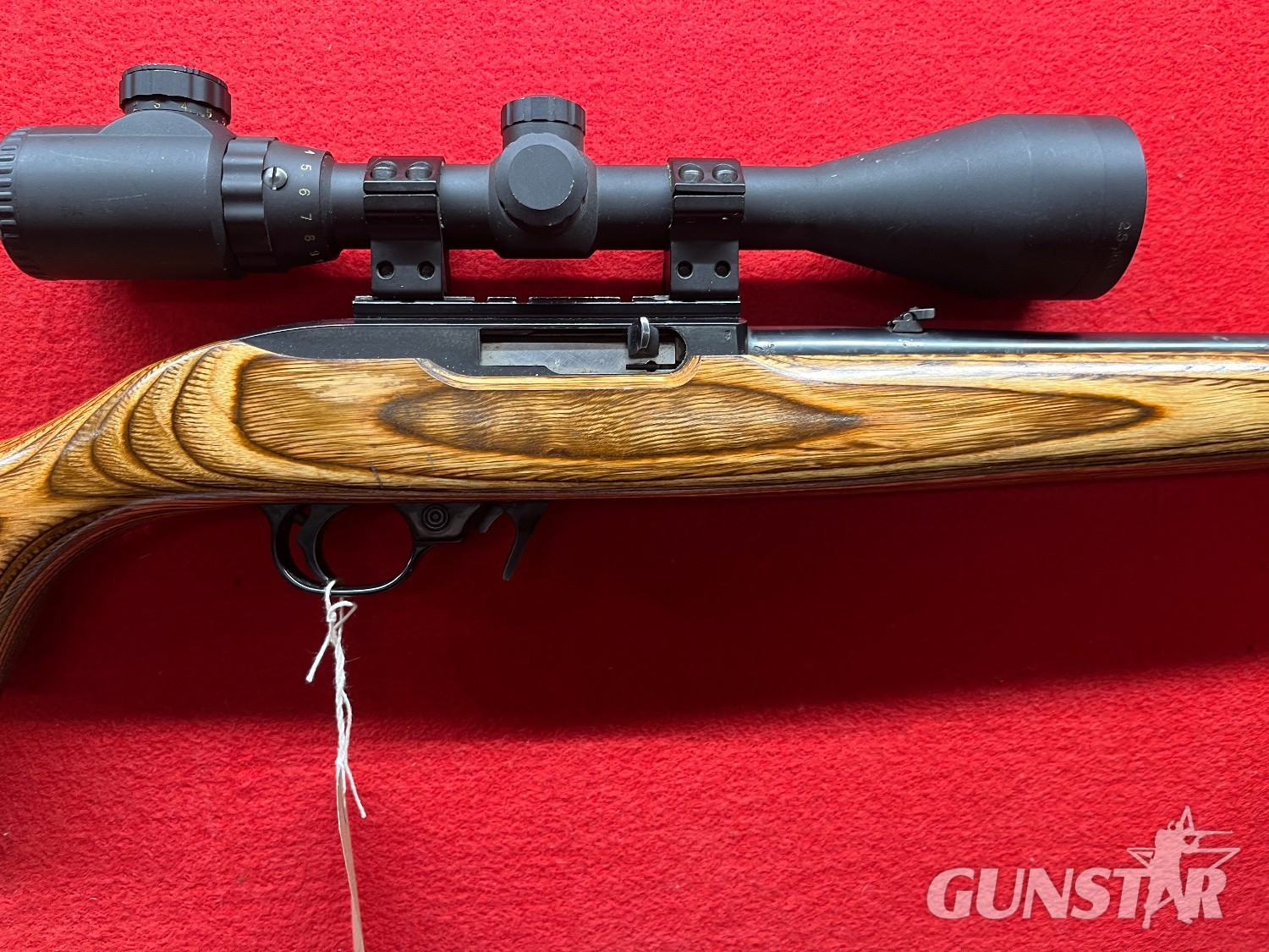 Ruger 10/22 Laminate Semi-Auto .22 Long Rifle (.22 LR) Rifle