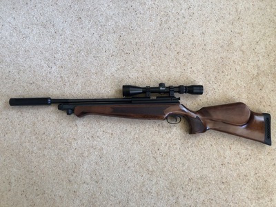 BSA Hornet .22