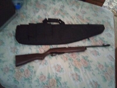 Crosman Crossman 1007 .177