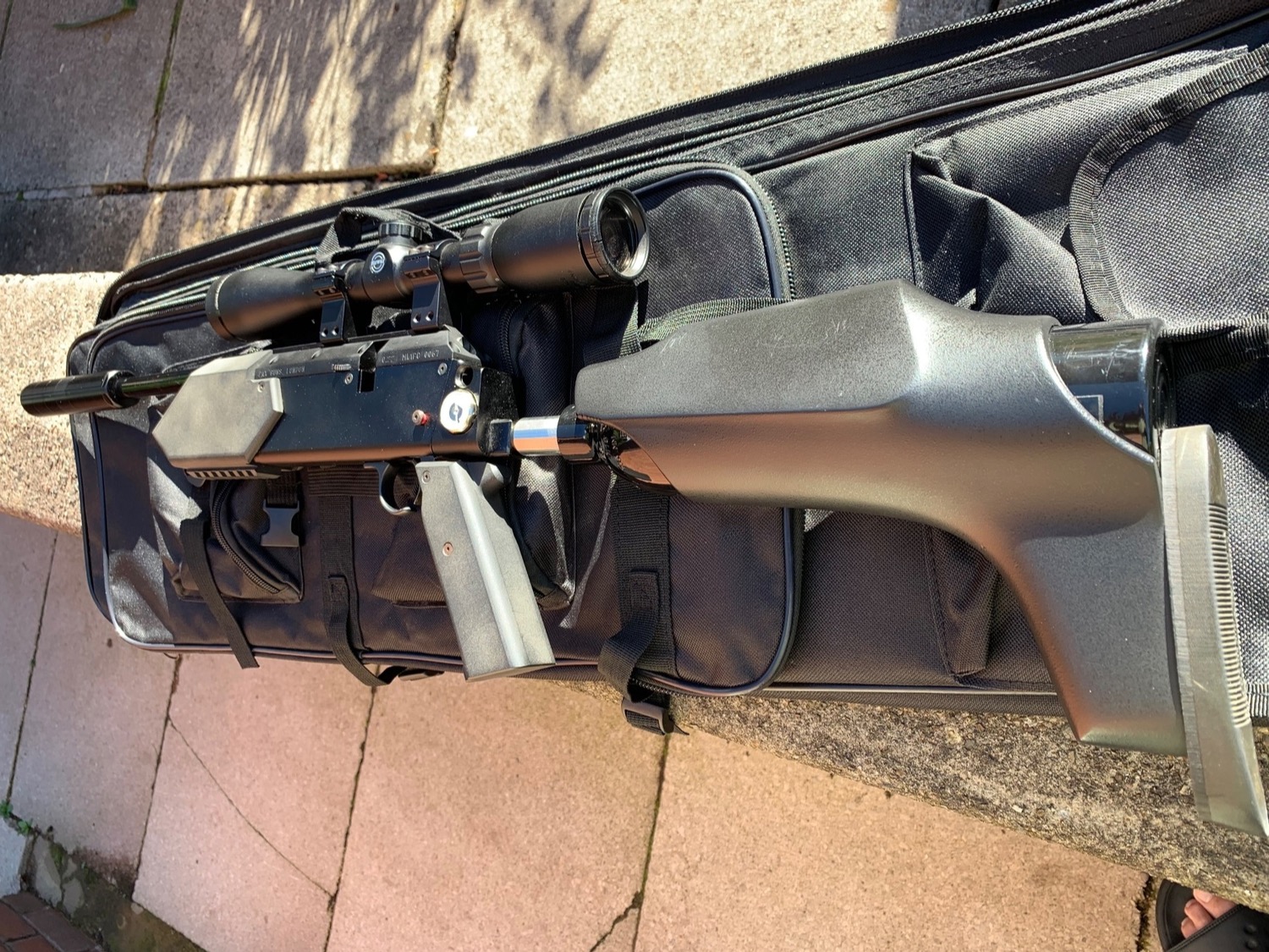  Pax Guns Parker hale Phoenix fast fire ten .22