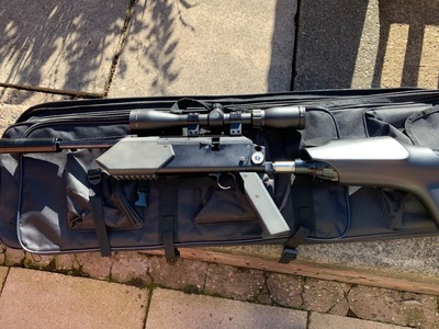Pax Guns Parker hale Phoenix fast fire ten .22