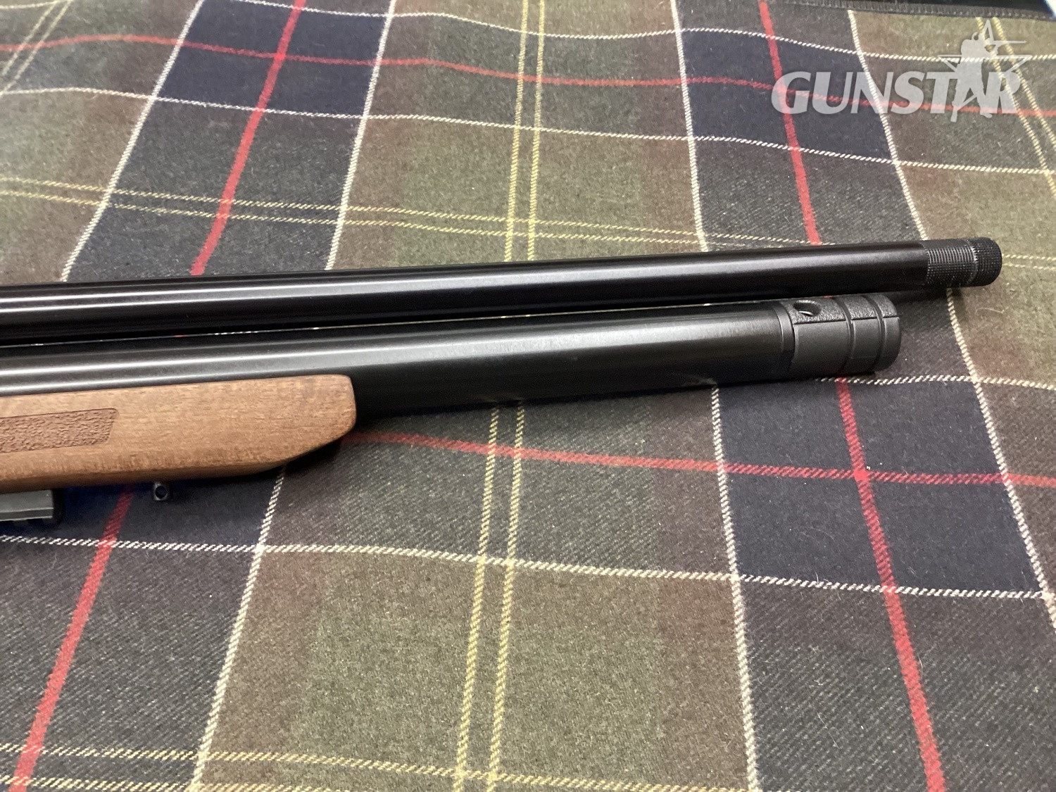  EB Arms AGINCOURT .22