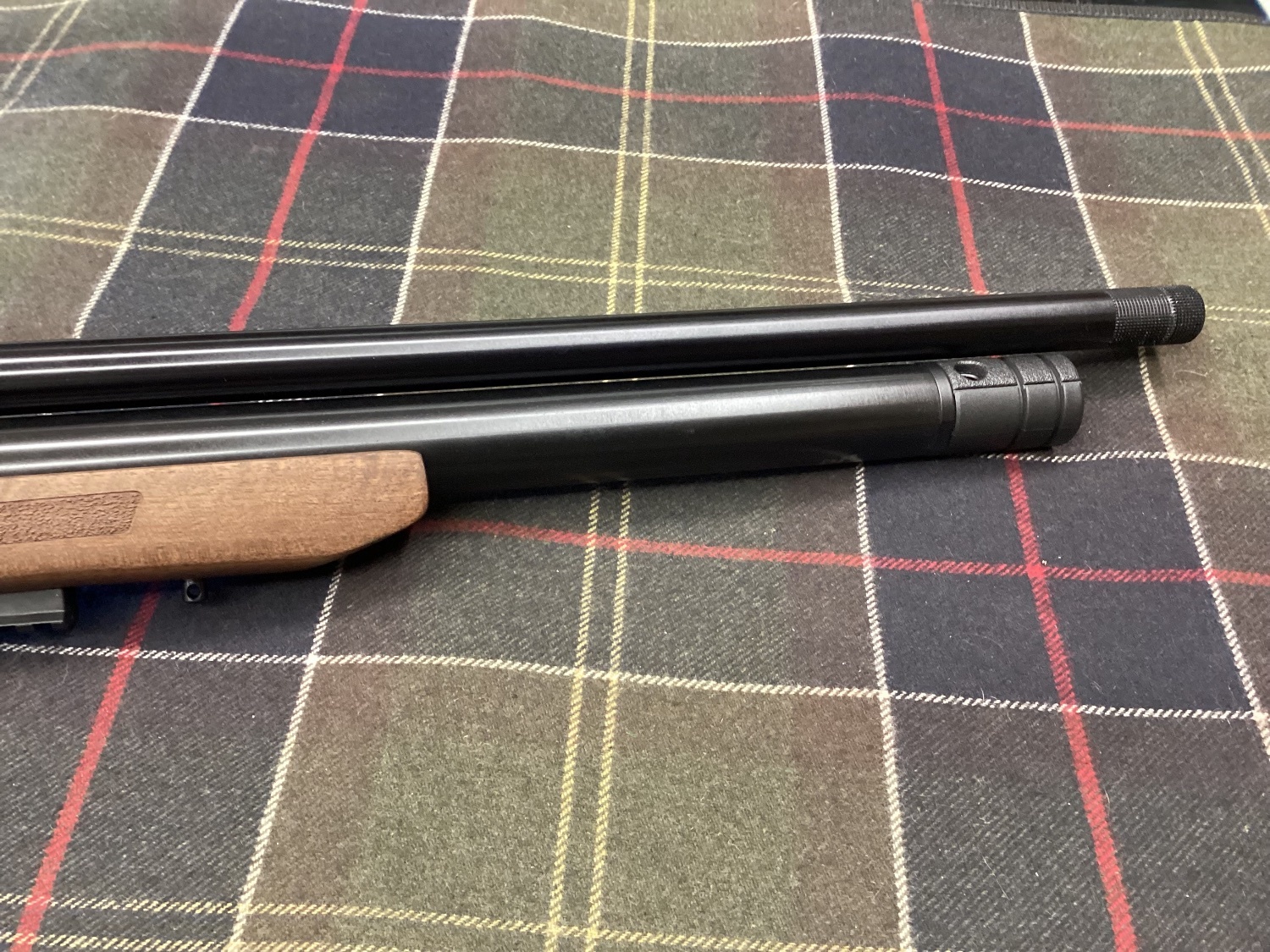  EB Arms AGINCOURT .22