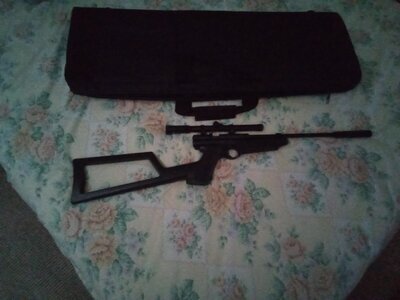 Crosman 2250 .22