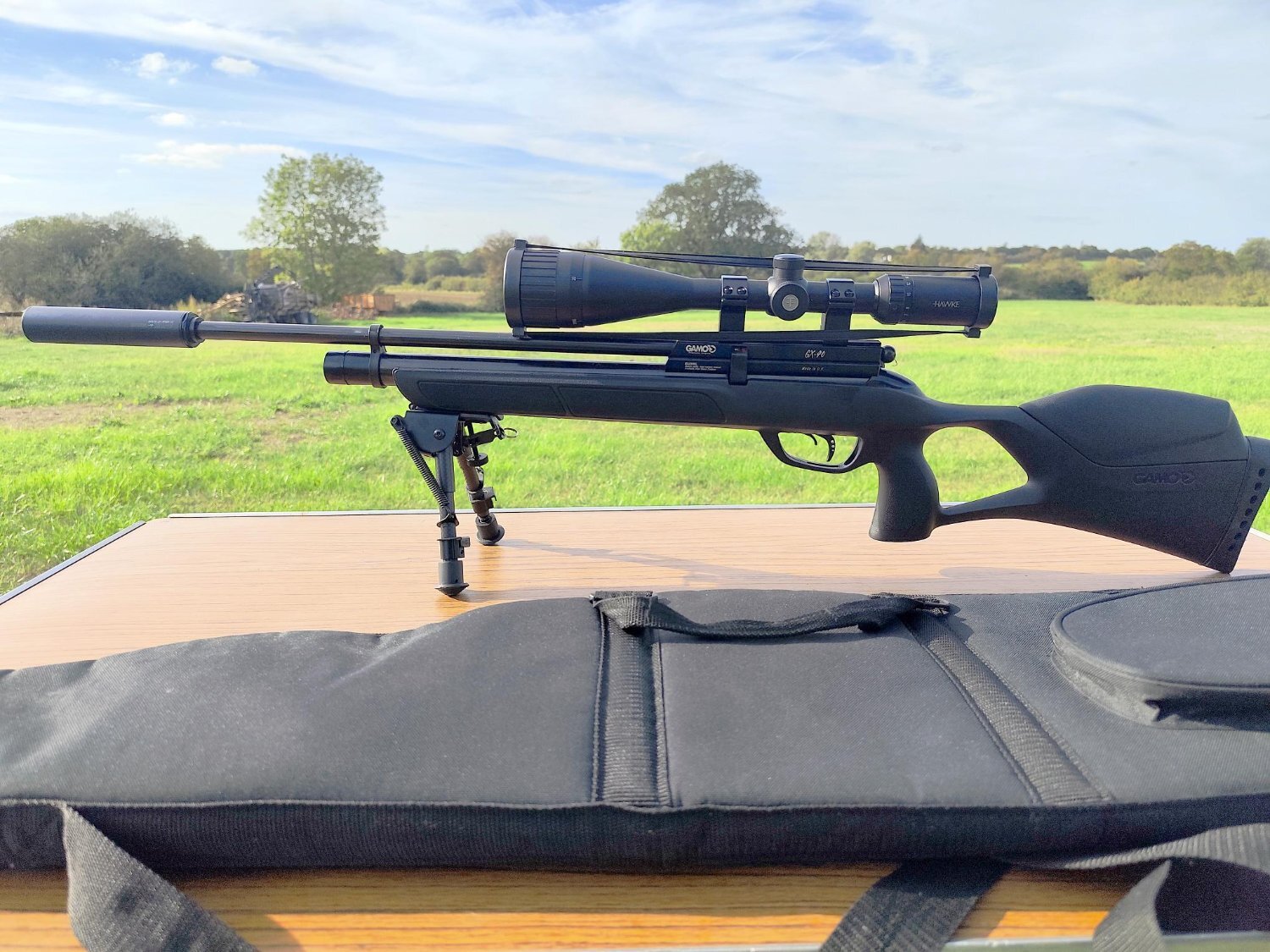  Gamo GX-40 .22