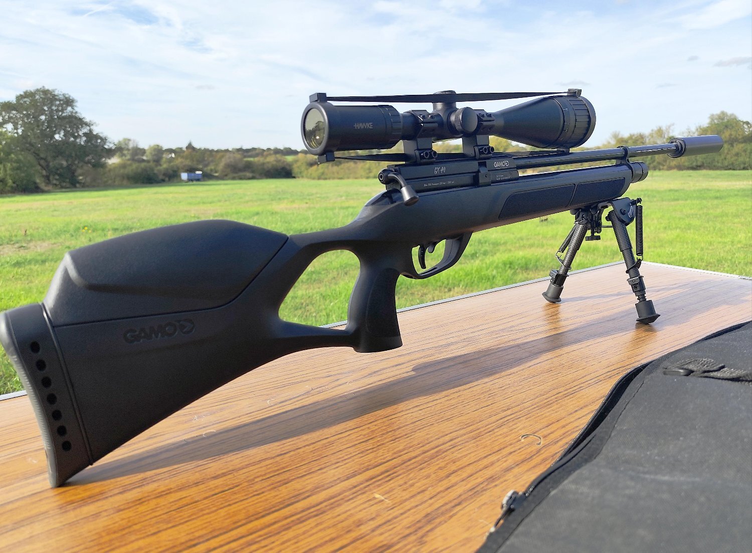 Gamo GX-40 .22 - {CATEGORY} in 