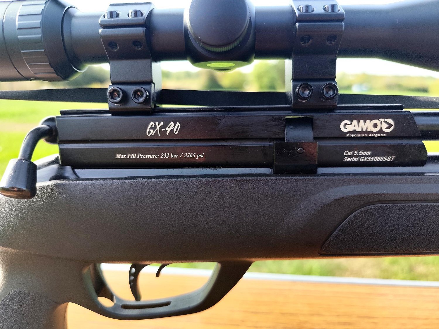 Gamo GX-40 .22 