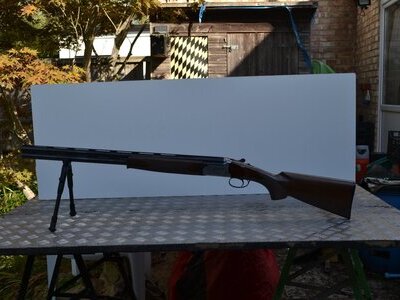 Bettinsoli Classic Over and Under 12 Bore/gauge
