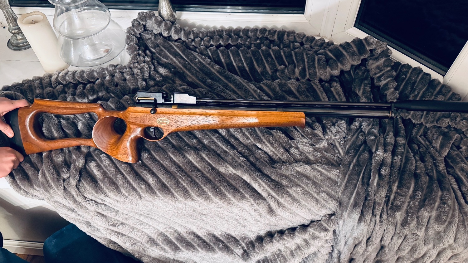 Falcon Airguns Falcon fn19 raptor .22