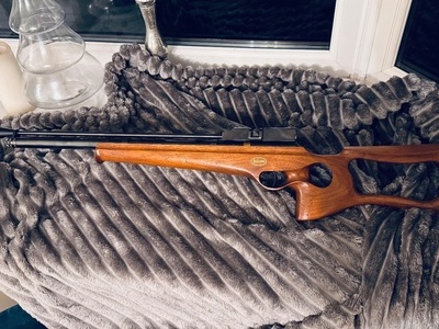 Falcon Airguns Falcon fn19 raptor .22