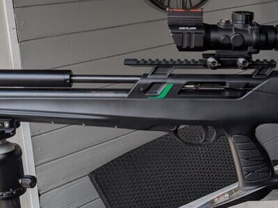 Remington Remington T-Rex .22 T-Rex .22