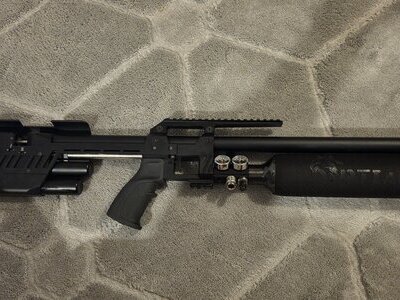 RTI Arms (Rifle Technology Innovations) P3 performance  .25