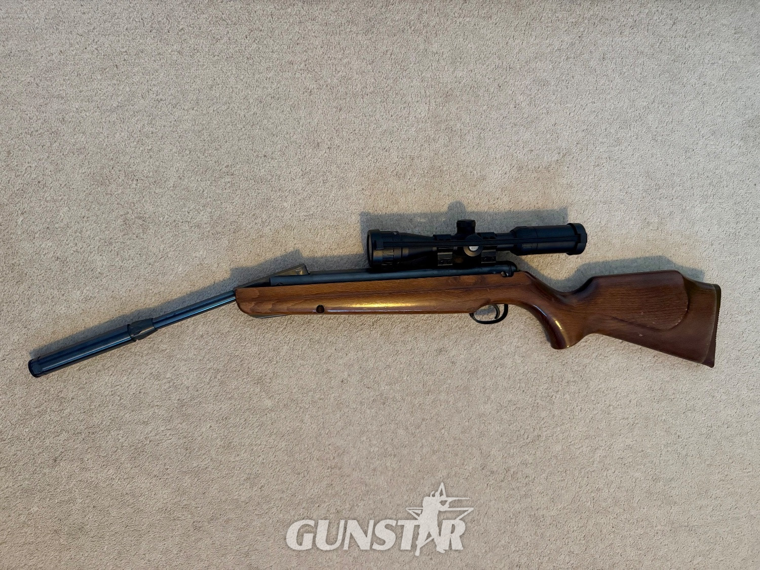 Webley & Scott Stingray .22 in 