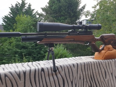 Weihrauch HW100 T .177
