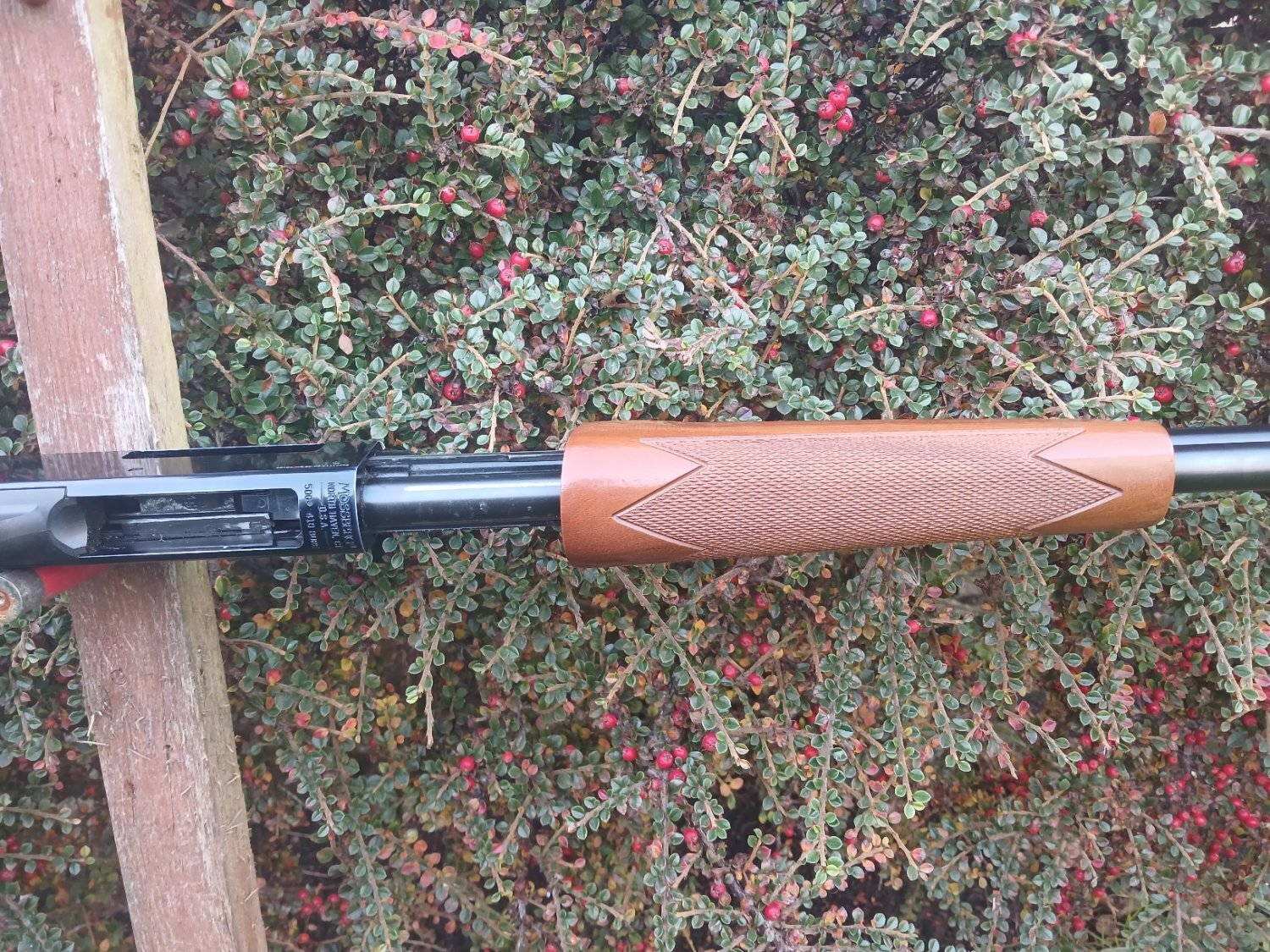 Mossberg 500 Hushpower Pump Action .410 Bore/gauge - {CATEGORY} in 