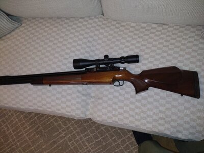 Logun Professional  .22