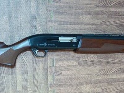Browning Fusion Evolve Semi-Auto 12 Bore/gauge