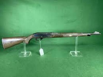 Remington Nylon 66 Semi-Auto .22 Rifle