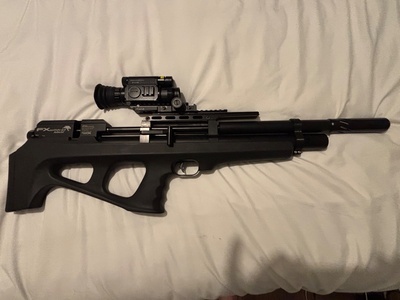 FX Airguns Wildcat MkIII .22